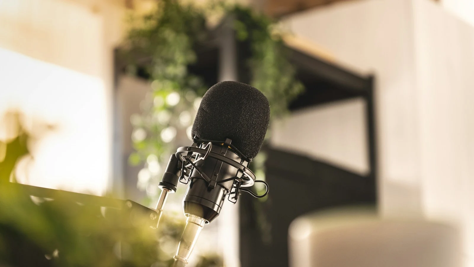 Studio microphone